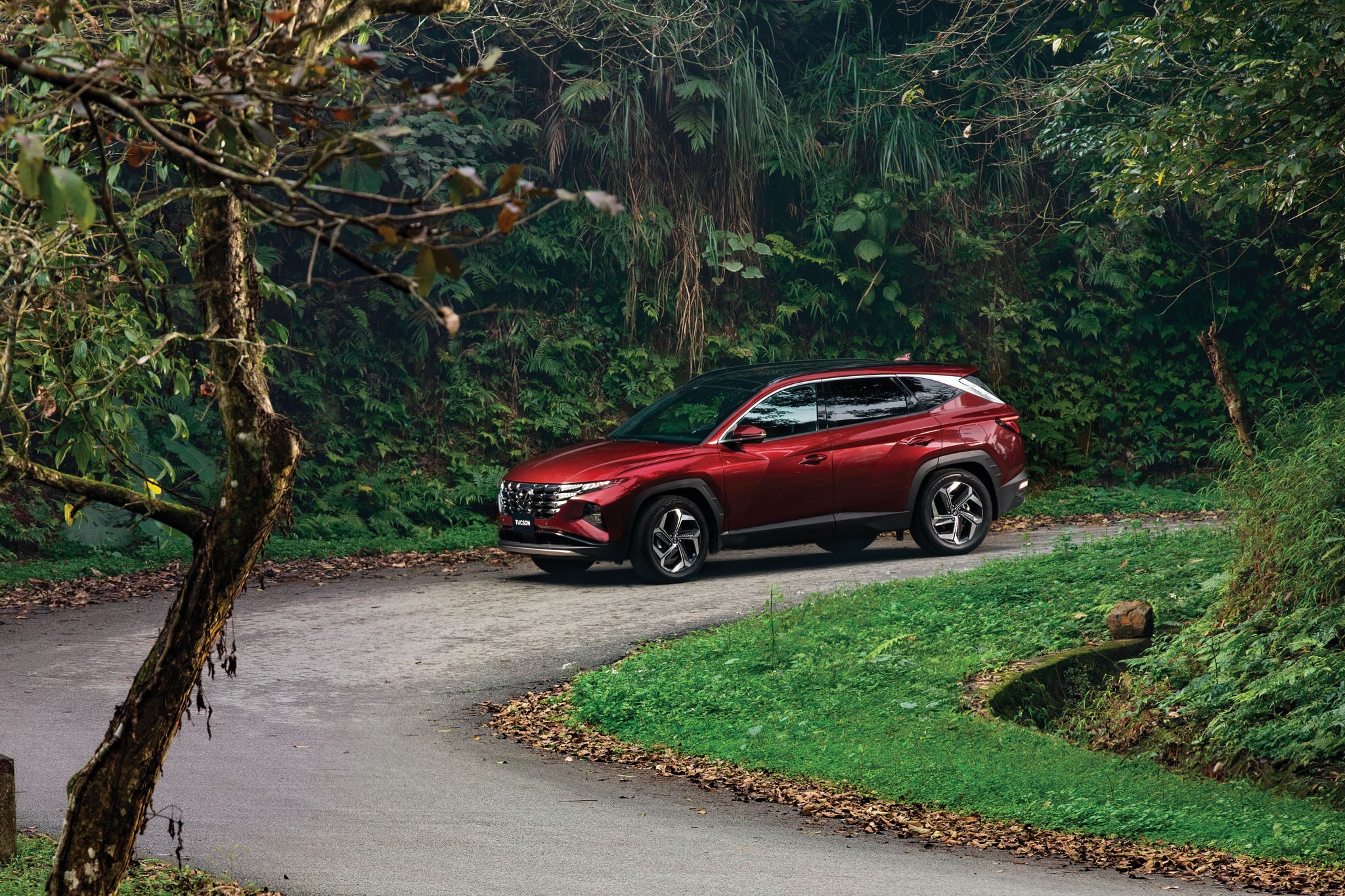 TC GROUP THÔNG BÁO KẾT QUẢ BÁN HÀNG HYUNDAI THÁNG 10/2023